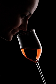 Starta eget VinContor